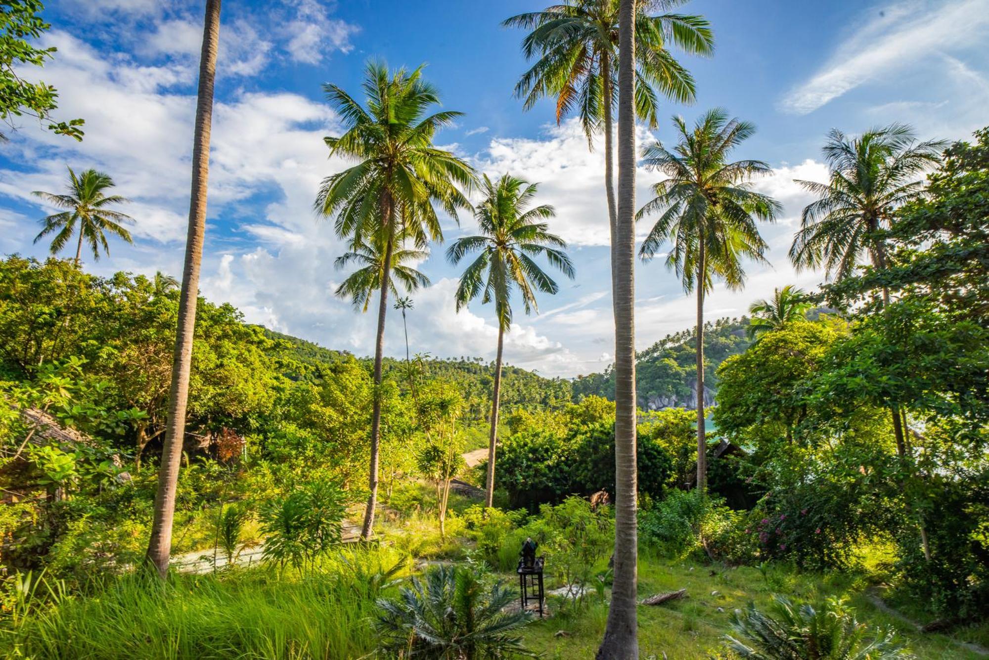 Echo Beach Hostel Baan Tai Exteriér fotografie